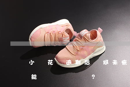 小鵝花錢逾期后為何未恢復(fù)借款功能？